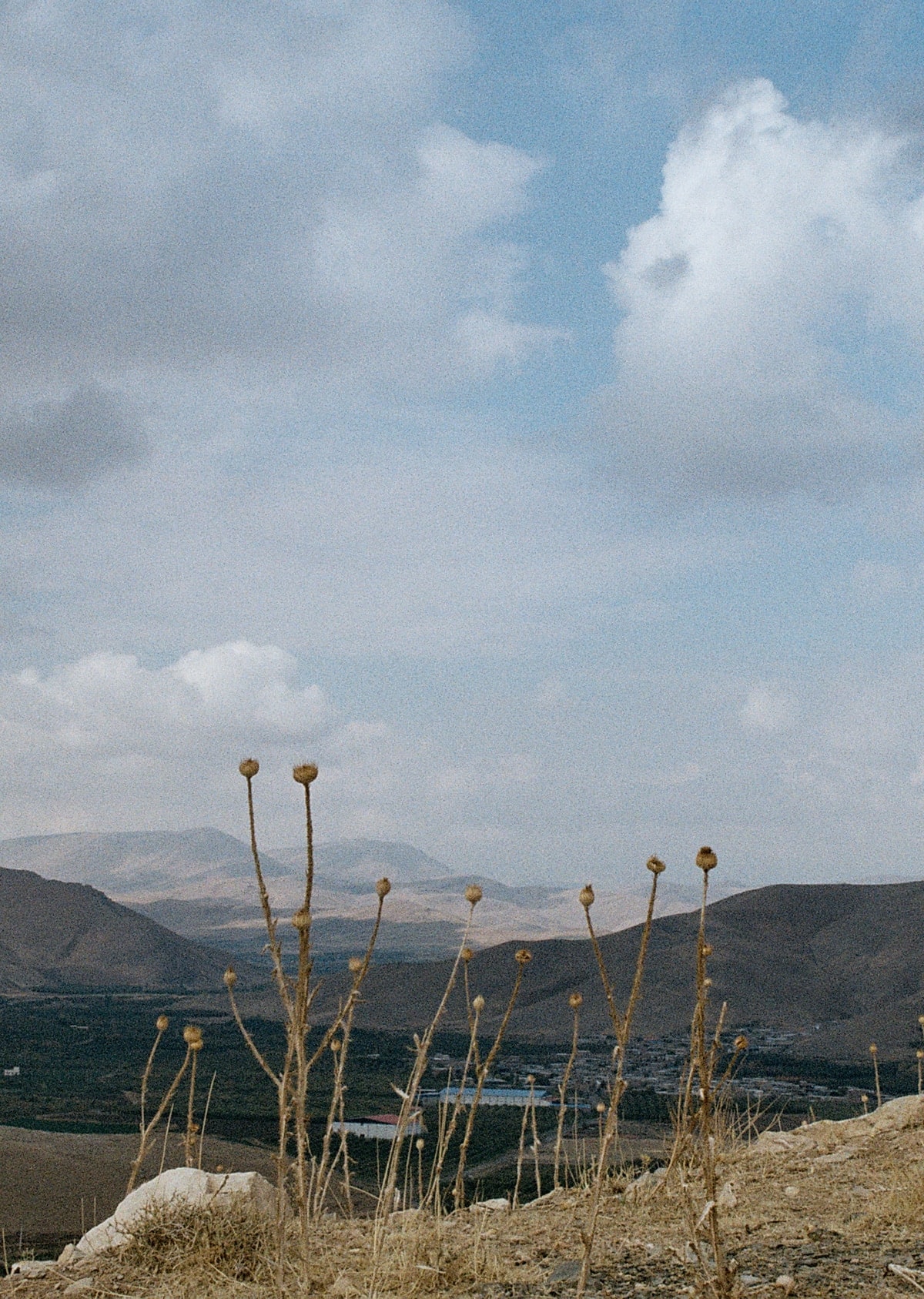 Image3